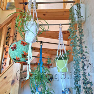 Plant & Wall Hangers