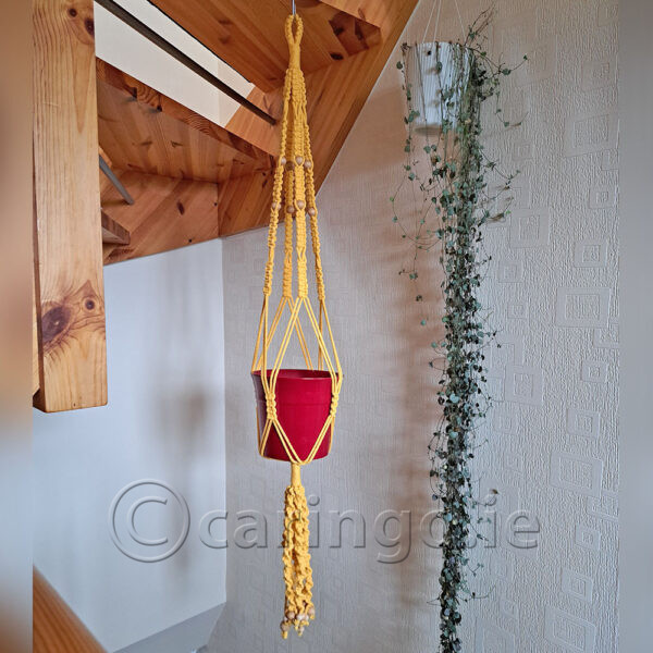 Plant Hangers - Image 6